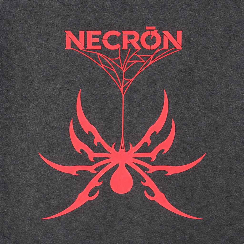 Spider oversize t shirt